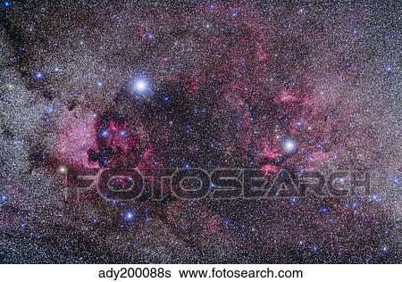 Stock Photograph - Nebulosity in Cygnus.. Fotosearch