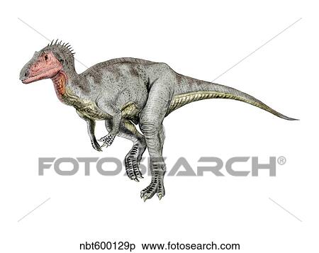 Stock Illustration - Neovenator dinosaur.. Fotosearch
