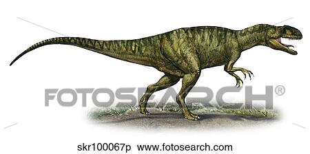 Neovenator salerii, a prehistoric era dinosaur. View Large Illustration Stock Illustration - Neovenator salerii, a prehistoric era dinosaur.. Fotosearch