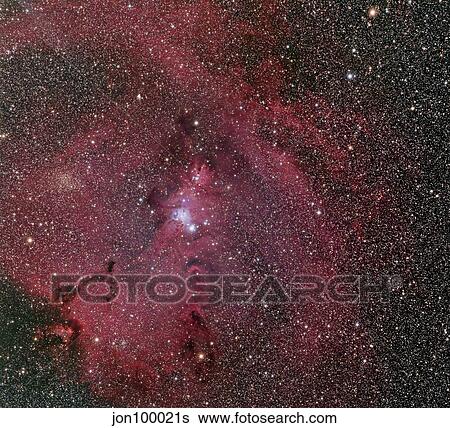 NGC 2264, the Cone and Christmas Tree Nebula. View Large Photo Image Stock Photograph - NGC 2264, the Cone and Christmas Tree Nebula.. Fotosearch