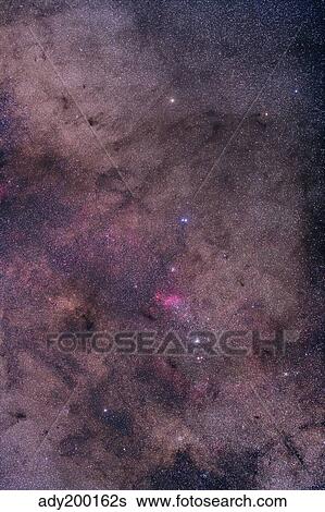 NGC 6231 area oriented equatorially. View Large Photo Image Stock Photograph - NGC 6231 area oriented equatorially.. Fotosearch