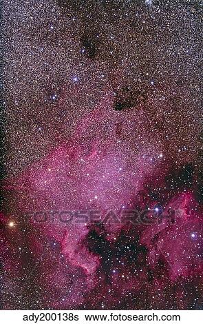 NGC 7000 and the Pelican Nebula. View Large Photo Image Stock Photograph - NGC 7000 and the Pelican Nebula.. Fotosearch