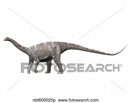 Nigersaurus taqueti, Early Cretaceous of Niger. View Large Illustration Stock Illustration - Nigersaurus taqueti, Early Cretaceous of Niger.. Fotosearch