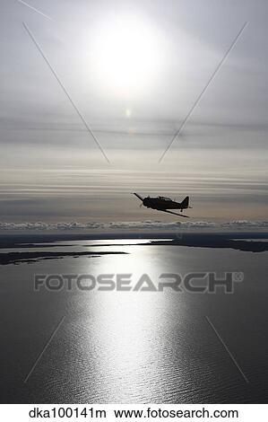 Picture - North American Aviation T-6 Texan trainer warbird in Swedish Air Force colors.. Fotosearch