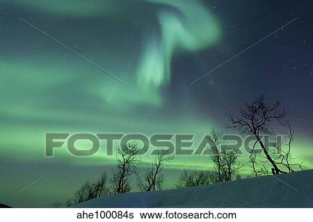Northern Lights in the arctic wilderness, Nordland, Norway. View Large Photo Image Stock Photograph - Northern Lights in the arctic wilderness, Nordland, Norway.. Fotosearch