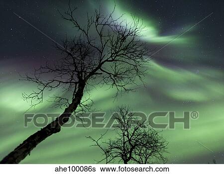 Northern Lights in the arctic wilderness, Nordland, Norway. View Large Photo Image Stock Photograph - Northern Lights in the arctic wilderness, Nordland, Norway.. Fotosearch