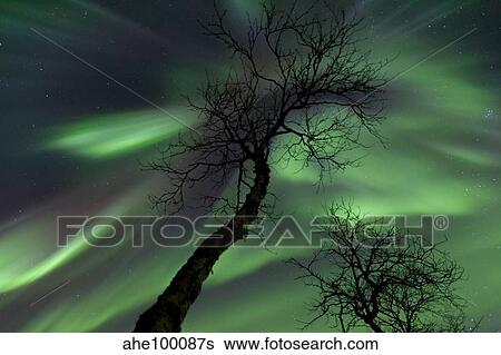 Northern Lights in the arctic wilderness, Nordland, Norway. View Large Photo Image Stock Photograph - Northern Lights in the arctic wilderness, Nordland, Norway.. Fotosearch