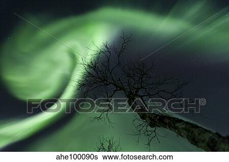 Northern Lights in the arctic wilderness, Nordland, Norway. View Large Photo Image Stock Photograph - Northern Lights in the arctic wilderness, Nordland, Norway.. Fotosearch