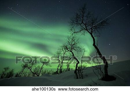 Northern Lights in the arctic wilderness, Nordland, Norway. View Large Photo Image Stock Photograph - Northern Lights in the arctic wilderness, Nordland, Norway.. Fotosearch