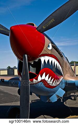 Nose art on a Curtiss P-40E Warhawk. View Large Photo Image Picture - Nose art on a Curtiss P-40E Warhawk.. Fotosearch