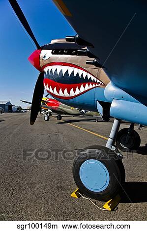 Nose art on a Curtiss P-40E Warhawk. View Large Photo Image Picture - Nose art on a Curtiss P-40E Warhawk.. Fotosearch