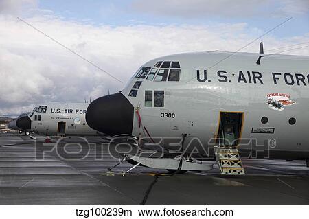 Nose cone detail on a LC-130H aircraft of the 109 Airlift Squadron. View Large Photo Image Picture - Nose cone detail on a LC-130H aircraft of the 109 Airlift Squadron.. Fotosearch