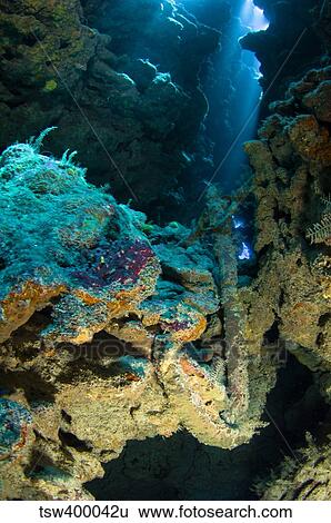 Stock Photograph - Old ship anchor, Australia.. Fotosearch