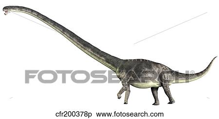 Omeisaurus dinosaur from the Jurassic Period. View Large Illustration Stock Illustration - Omeisaurus dinosaur from the Jurassic Period.. Fotosearch