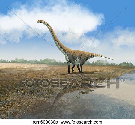 Stock Illustration - Omeisaurus tianfuensis, an Euhelopus auropod from the Jurassic period.. Fotosearch