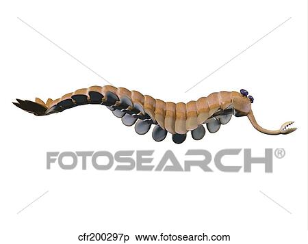 Stock Illustration - Opabinia regalis from the Middle Cambrian seas.. Fotosearch