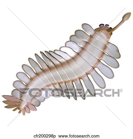 Stock Illustration - Opabinia regalis from the Middle Cambrian seas.. Fotosearch
