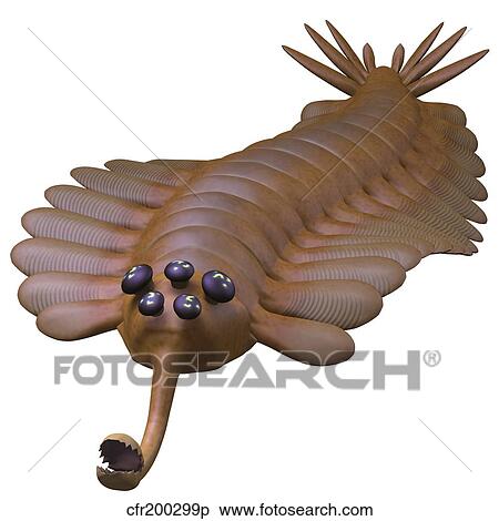 Stock Illustration - Opabinia regalis from the Middle Cambrian seas.. Fotosearch