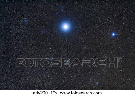 Open cluster Messier 41 in the constellation Canis Major. View Large Photo Image Stock Photograph - Open cluster Messier 41 in the constellation Canis Major.. Fotosearch