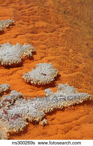 Stock Photograph - Orange coloration in Champagne Pool hot spring, Wai-O-Tapu Geothermal area, New Zealand.. Fotosearch
