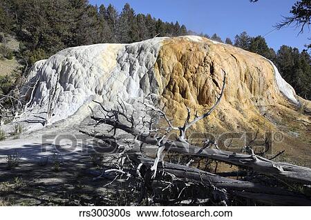 Stock Photograph - Orange Spring Mound travertine sinter terrace, Yellowstone National Park, Wyoming.. Fotosearch