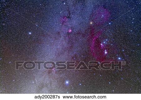 Orion and Canis Major showing dog stars Sirius and Procyon. View Large Photo Image Stock Photograph - Orion and Canis Major showing dog stars Sirius and Procyon.. Fotosearch