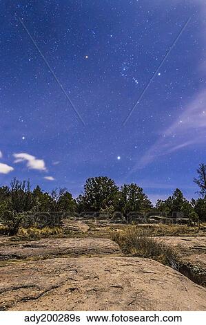 Stock Photograph - Orion and Sirius rising in the moonlight over Gila National Forest, New Mexico.. Fotosearch
