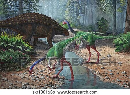 Ornithomimus swallowing stones along a stream as part of their diet. View Large Illustration Stock Illustration - Ornithomimus swallowing stones along a stream as part of their diet.. Fotosearch