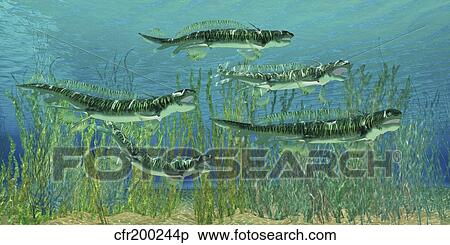Stock Illustration - Orthacanthus was a freshwater shark that thrived in the Devonian Period.. Fotosearch