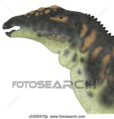 Stock Illustration - Ouranosaurus dinosaur head.. Fotosearch