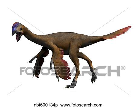 Oviraptor dinosaur. View Large Illustration Stock Illustration - Oviraptor dinosaur.. Fotosearch