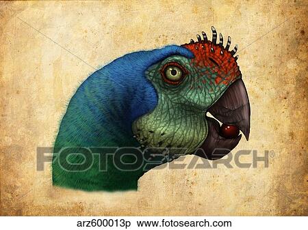 Oviraptor head detail. View Large Illustration Stock Illustration - Oviraptor head detail.. Fotosearch