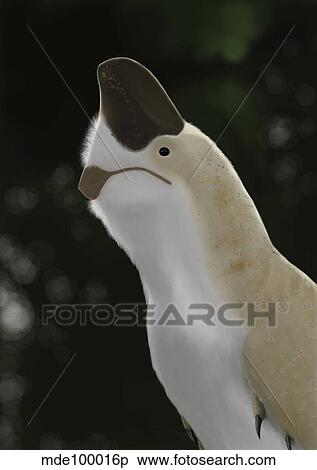 Oviraptor mongoliensis portrait. View Large Illustration Stock Illustration - Oviraptor mongoliensis portrait.. Fotosearch