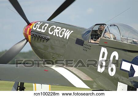 Picture - P-51D Mustang in United States Army Air Corps colors.. Fotosearch