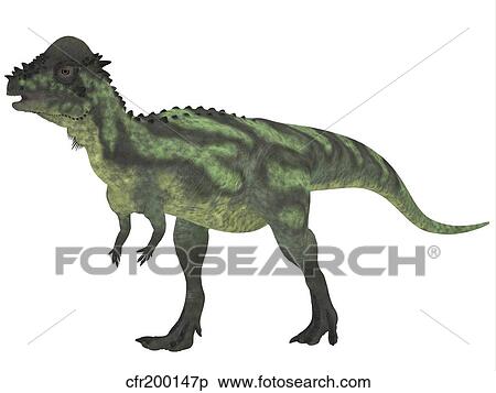 Stock Illustration - Pachycephalosaurus, a biped dinosaur from the Cretaceous Period.. Fotosearch