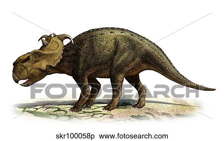 Pachyrhinosaurus canadensis, a prehistoric era dinosaur. View Large Illustration Stock Illustration - Pachyrhinosaurus canadensis, a prehistoric era dinosaur.. Fotosearch