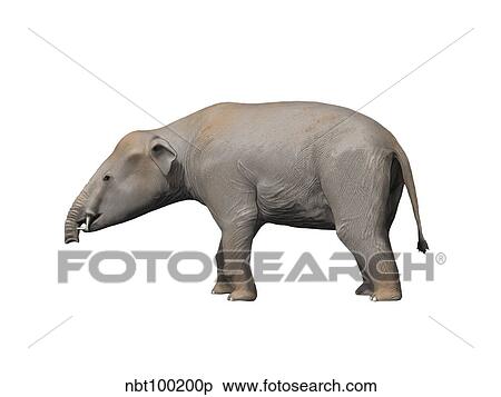 Stock Illustration - Palaeomastodon is a proboscidian from the Oligocene epoch.. Fotosearch