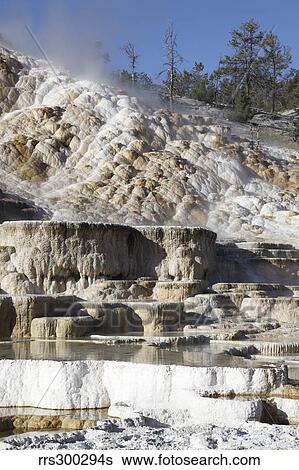 Stock Photograph - Palette spring and travertine sinter terraces. Mammoth Hot Springs, Yellowstone National Park.. Fotosearch