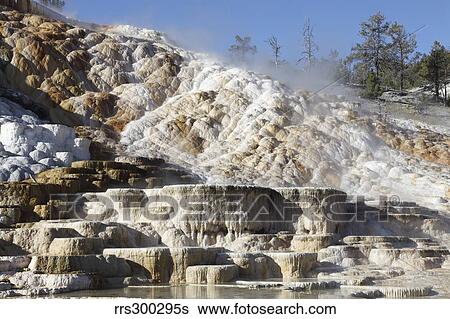 Palette spring and travertine sinter terraces. Mammoth Hot Springs, Yellowstone National Park. View Large Photo Image Stock Photograph - Palette spring and travertine sinter terraces. Mammoth Hot Springs, Yellowstone National Park.. Fotosearch