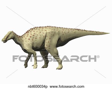 Pararhabdodon isonensis, Late Cretaceous of Spain. View Large Illustration Stock Illustration - Pararhabdodon isonensis, Late Cretaceous of Spain.. Fotosearch