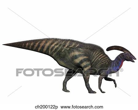 Stock Illustration - Parasaurolophus, a herbivorous dinosaur from the Cretaceous period.. Fotosearch