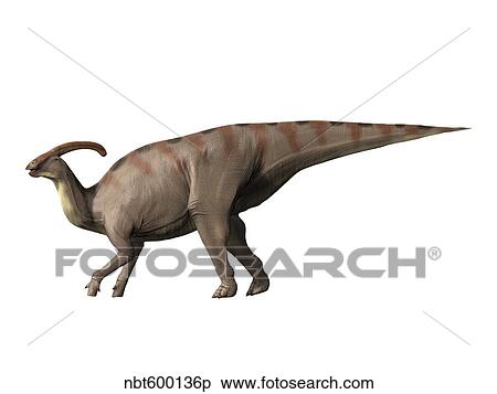 Parasaurolophus dinosaur. View Large Illustration Stock Illustration - Parasaurolophus dinosaur.. Fotosearch