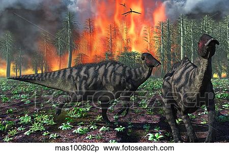 Stock Illustration - Parasaurolophus duckbill dinosaurs fleeing a deadly forest fire.. Fotosearch