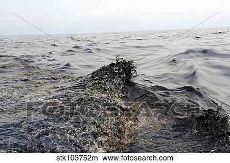 Part of an oil slick in the Gulf of Mexico. View Large Photo Image Picture - Part of an oil slick in the Gulf of Mexico.. Fotosearch