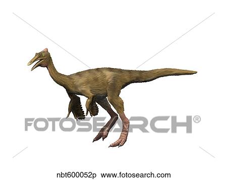 Pelecanimimus polydon, Early Cretaceous of Spain. View Large Illustration Stock Illustration - Pelecanimimus polydon, Early Cretaceous of Spain.. Fotosearch