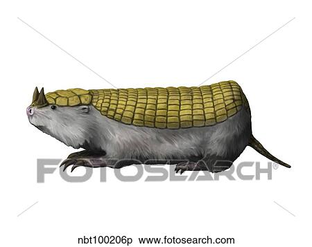 Peltephilus is a xenarthran mammal from the Miocene epoch. View Large Illustration Stock Illustration - Peltephilus is a xenarthran mammal from the Miocene epoch.. Fotosearch