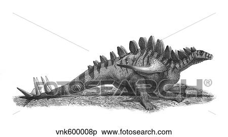 Pencil drawing of Gigantspinosaurus sichuanensis. View Large Illustration Stock Illustration - Pencil drawing of Gigantspinosaurus sichuanensis.. Fotosearch