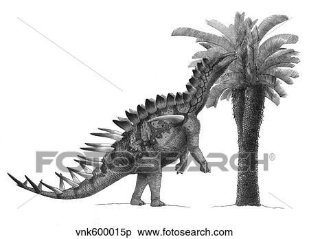 Pencil drawing of Miragaia longicollum feeding on a cycad tree. View Large Illustration Stock Illustration - Pencil drawing of Miragaia longicollum feeding on a cycad tree.. Fotosearch