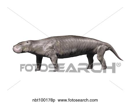 Pezosiren is a sirenian mammal from the Eocene epoch. View Large Illustration Stock Illustration - Pezosiren is a sirenian mammal from the Eocene epoch.. Fotosearch