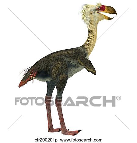 Phorusrhacos, an extinct genus of flightless predatory birds View Large Illustration Stock Illustration - Phorusrhacos, an extinct genus of flightless predatory birds. Fotosearch